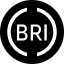Brightpool Finance (BRI)