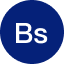 VES logo